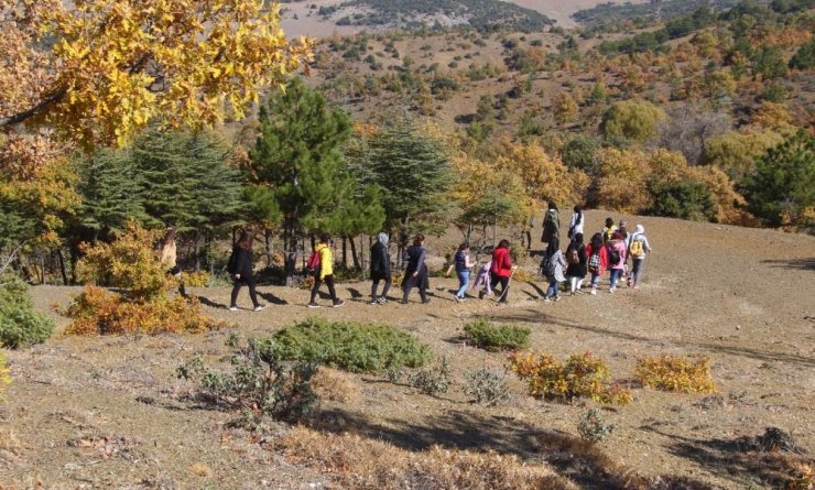 Beyşehir Gölü Milli Parkı sonbaharda doğa tutkunlarını hayran bırakıyor