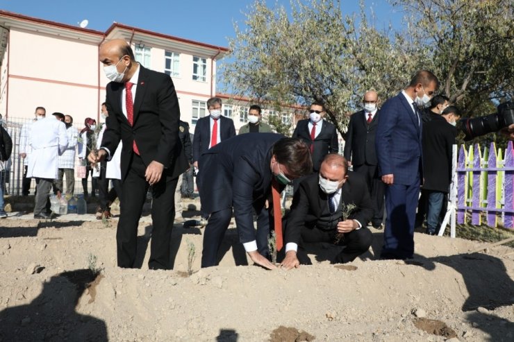 Öğretmen vali, okullarda öğretmenlerin gününü kutlayarak lavanta dikti