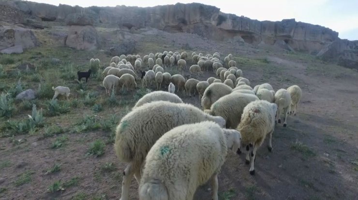 Aksaray’da tarımsal üretim değerinde artış