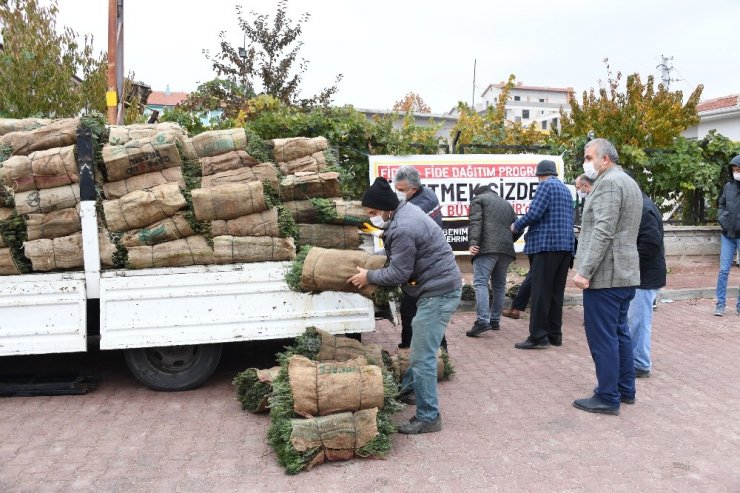 Konya lavantanın merkezi olacak