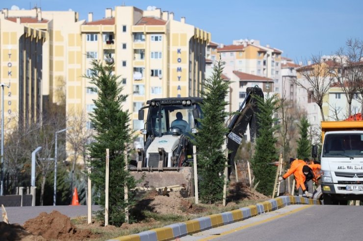 Aksaray Belediyesi fidan dikim seferberliği başlattı