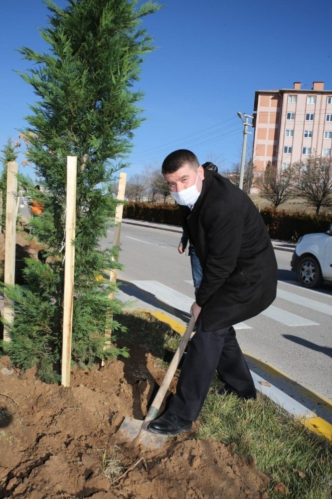 Aksaray Belediyesi fidan dikim seferberliği başlattı