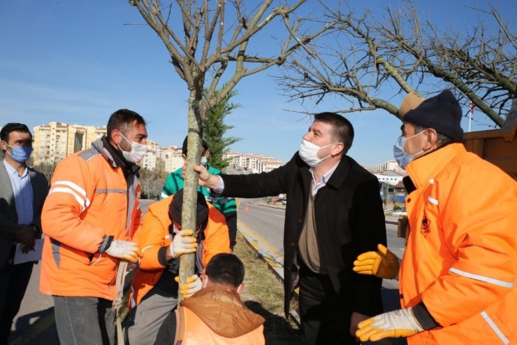 Aksaray Belediyesi fidan dikim seferberliği başlattı