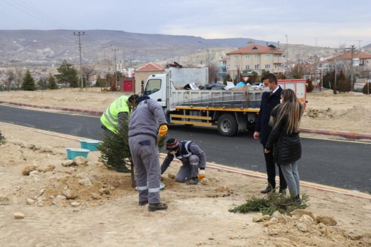 Ürgüp ‘te fidanlar Ekobox sistemi ile dikiliyor