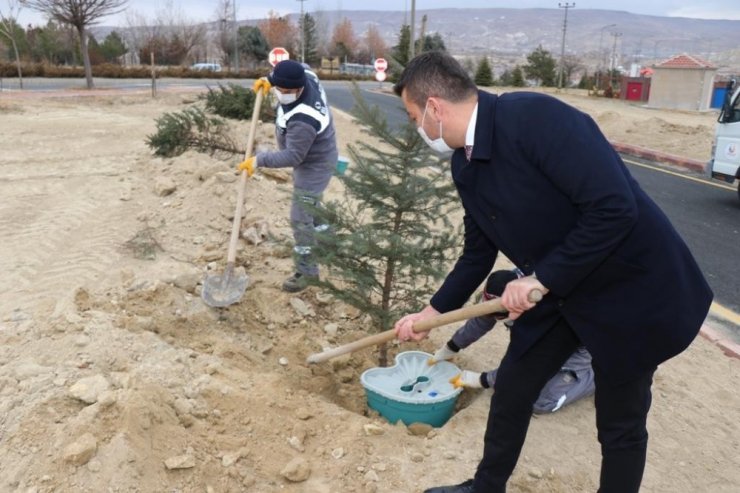 Ürgüp ‘te fidanlar Ekobox sistemi ile dikiliyor