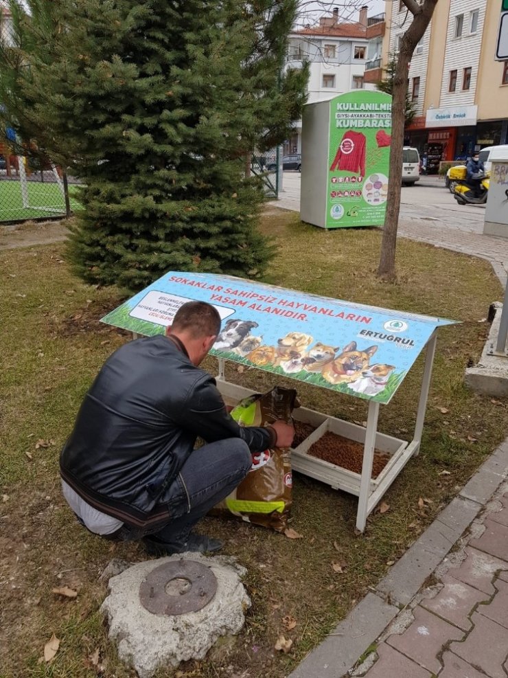 Pursaklar Belediyesi sokak hayvanlarına sahip çıkıyor