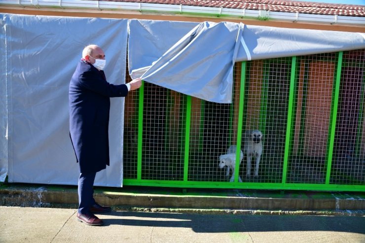 Mamak Belediyesi kış günlerinde de sevimli dostlarını unutmadı