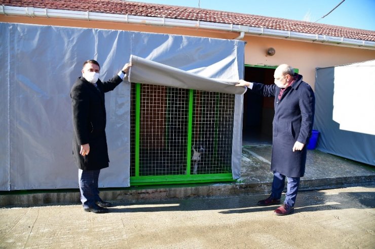 Mamak Belediyesi kış günlerinde de sevimli dostlarını unutmadı