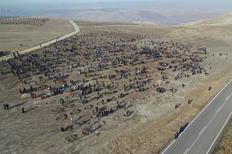 Altındağ’da yeşil rekor