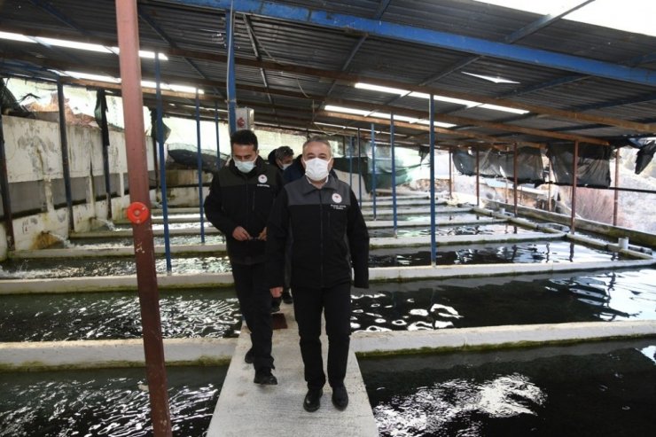 Pınarbaşı Gözeleri Türkiye’nin Göz Bebeği