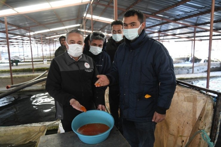 Pınarbaşı Gözeleri Türkiye’nin Göz Bebeği