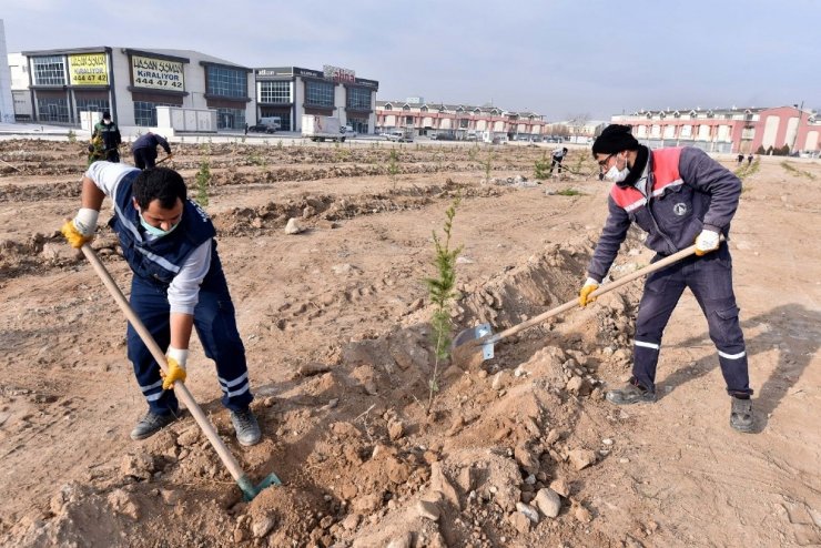 Karatay Belediyesi basın mensupları adına fidan dikti