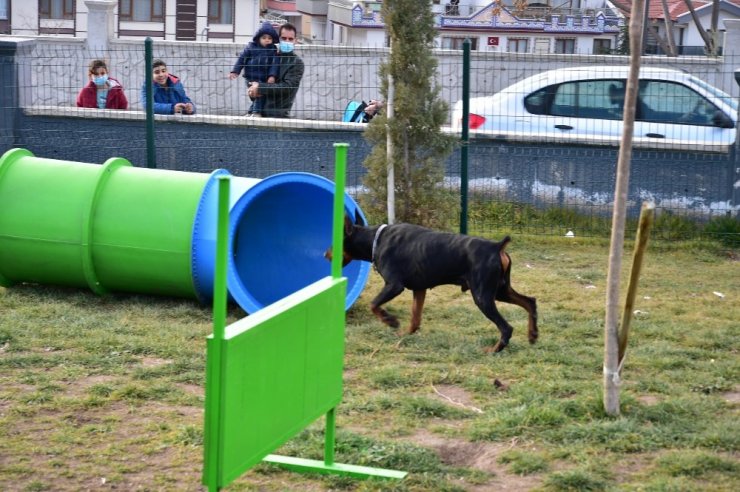 Mamak Belediyesinden ‘Köpek Parkı’