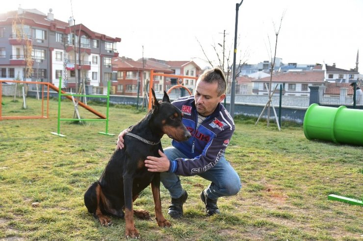 Mamak Belediyesinden ‘Köpek Parkı’