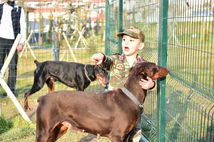 Mamak Belediyesinden ‘Köpek Parkı’