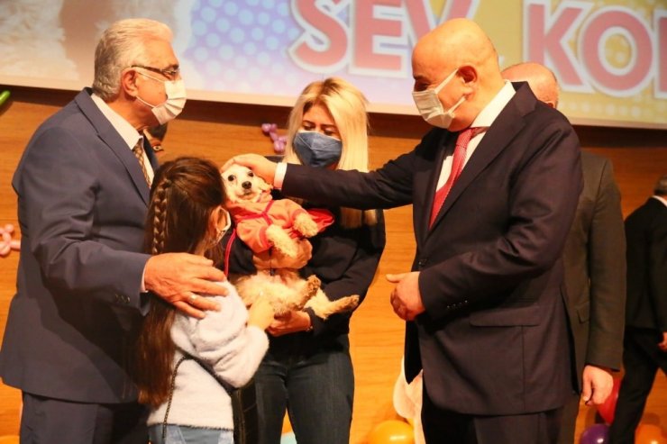 Başkent’te ses telleri kesilen köpekler sahiplendirildi