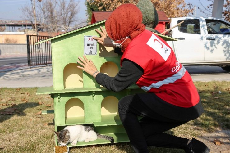 Gönüllülerce Meram’a yeni kedi, köpek ve kuş evleri kazandırılıyor