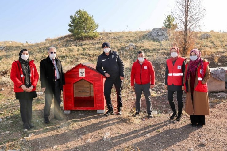 Gönüllülerce Meram’a yeni kedi, köpek ve kuş evleri kazandırılıyor