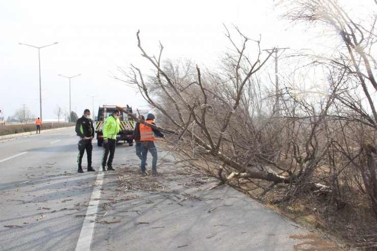 Karaman’da şiddetli rüzgar ağaçları devirdi