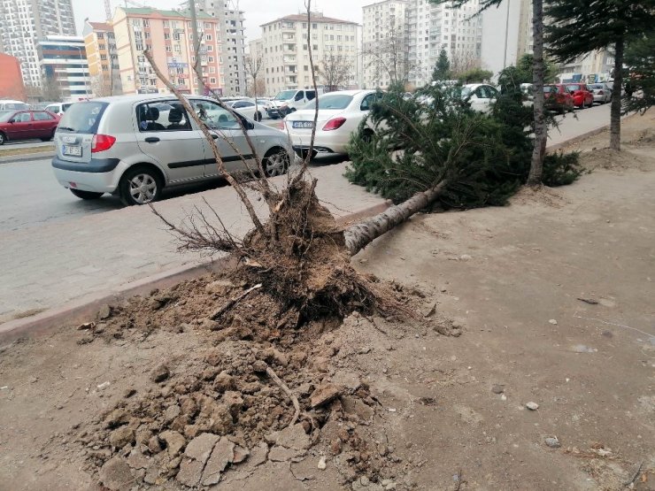 Kayseri’de kuvvetli rüzgar ağaçları söktü, çatıları uçurdu