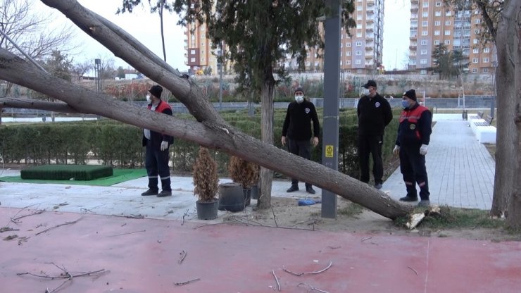 Kırıkkale’de kuvvetli rüzgar ağaçları yerinden söktü, 1 işyeri zarar gördü