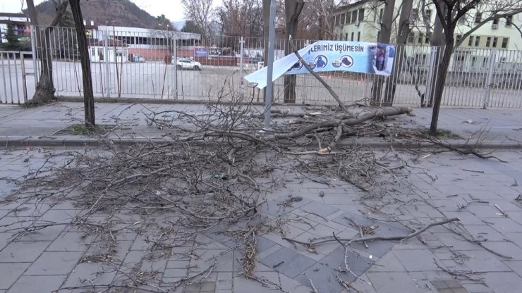 Kırıkkale’de kuvvetli rüzgar ağaçları yerinden söktü, 1 işyeri zarar gördü