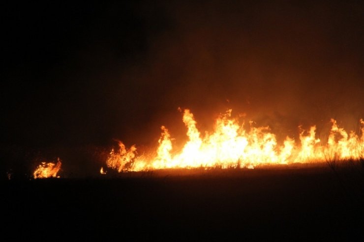 Beyşehir Gölü Milli Parkı’ndaki sazlıklar alev alev