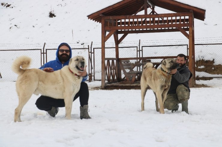 Özlemle beklenen kara en çok sevinin onlar oldu