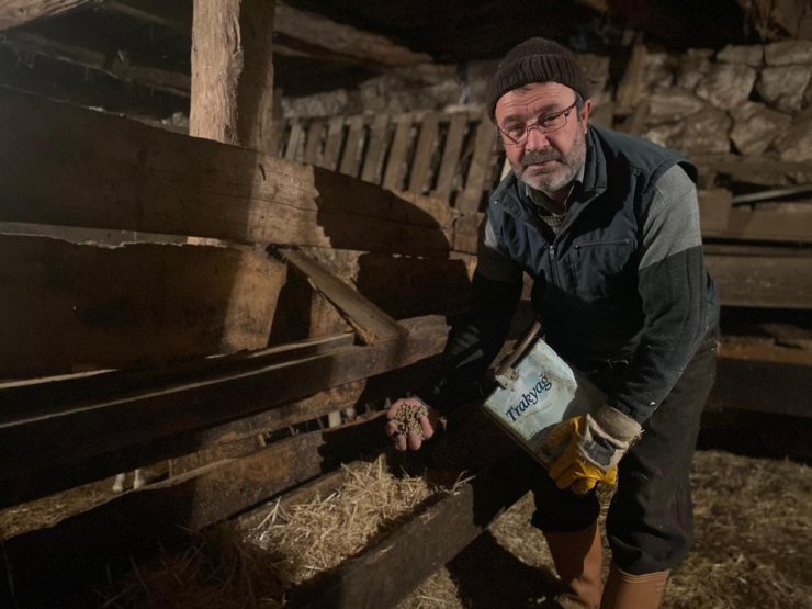 Kar altında el ele hayvanlarına böyle bakıyorlar