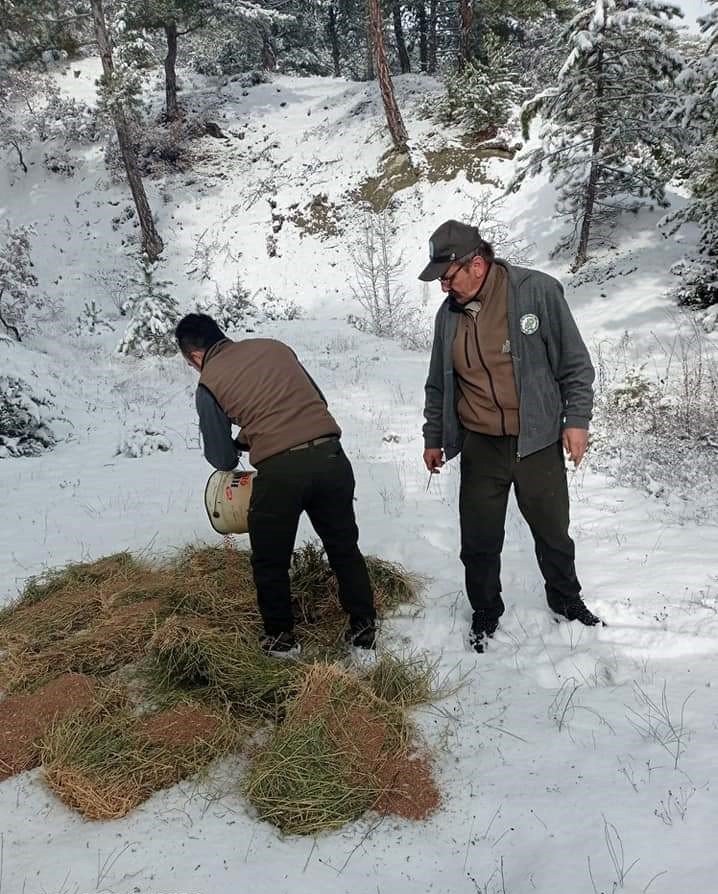 Nallıhan’da yaban hayvanları unutulmadı