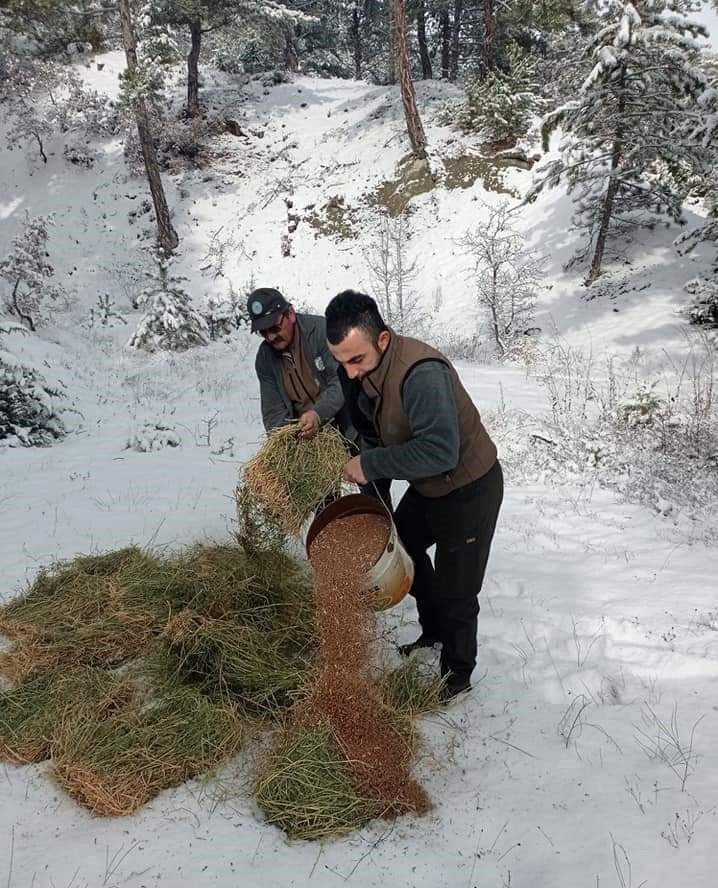 Nallıhan’da yaban hayvanları unutulmadı