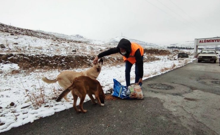 Keçiören’de can dostlar aç bırakılmadı