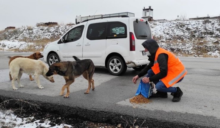 Keçiören’de can dostlar aç bırakılmadı