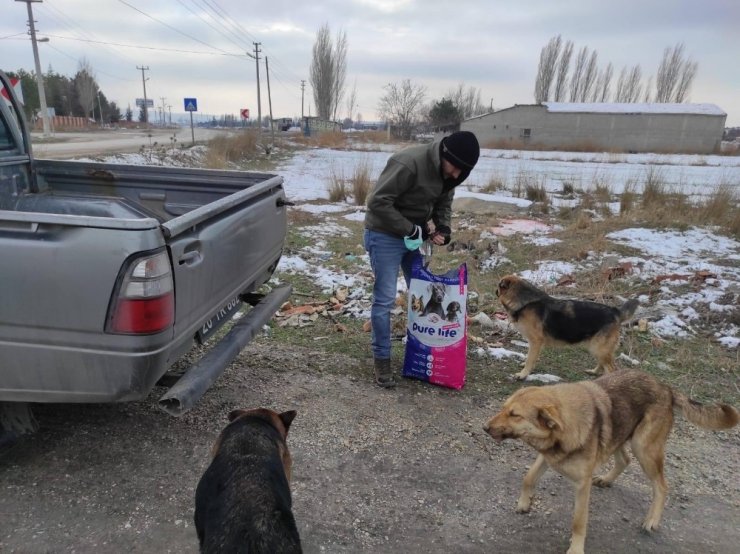 Soğuk havalarda sokak hayvanları unutulmadı