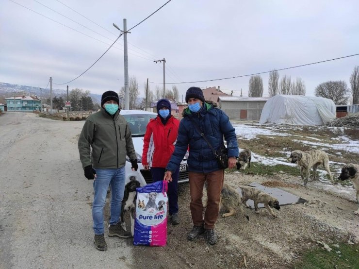 Soğuk havalarda sokak hayvanları unutulmadı