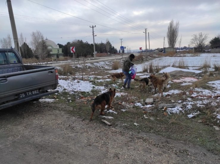 Soğuk havalarda sokak hayvanları unutulmadı