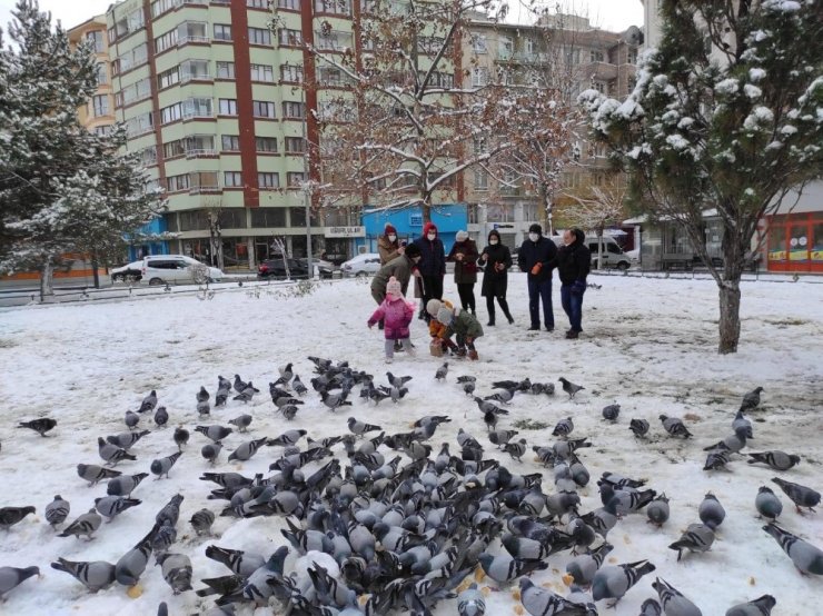 Soğuk havalarda sokak hayvanları unutulmadı