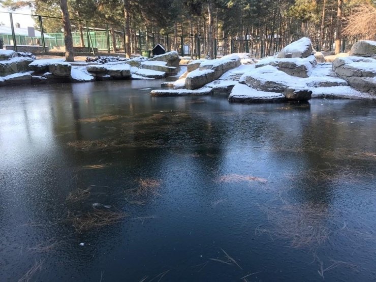 Kayseri’de suni göl buz tuttu