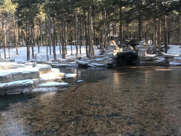 Kayseri’de suni göl buz tuttu