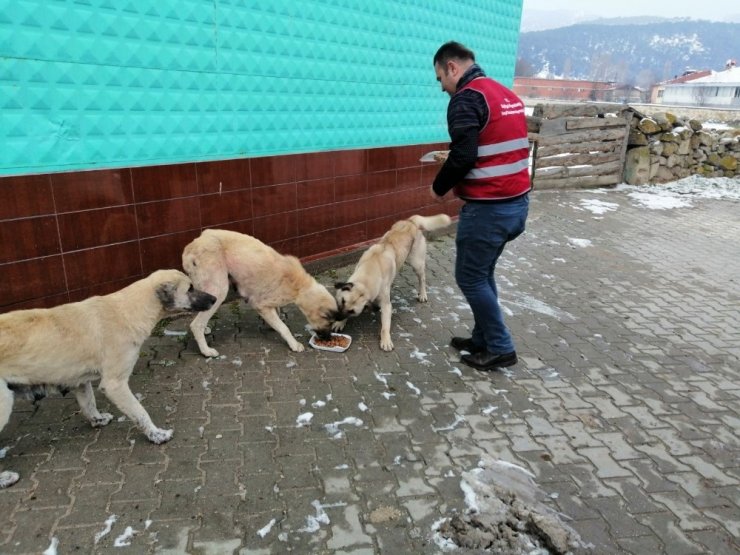 Seyitgazi Vefa Sosyal Destek Grubu çalışmalarına aralıksız devam ediyor