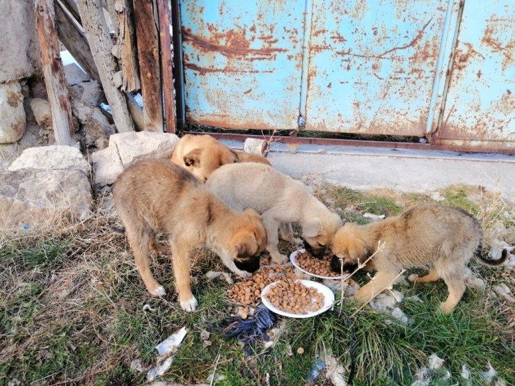 Seyitgazi Vefa Sosyal Destek Grubu çalışmalarına aralıksız devam ediyor