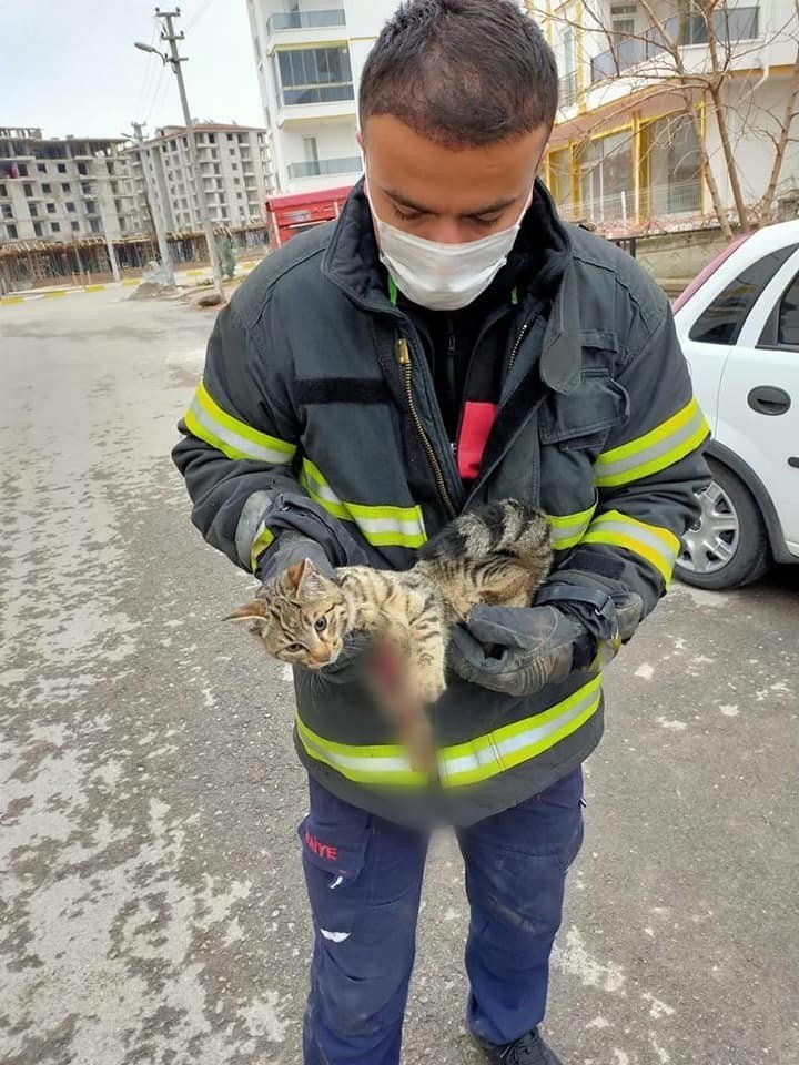 Yaralı kediye belediye şefkat eli uzattı