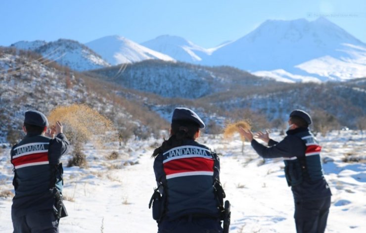 Jandarma ekipleri doğaya yem bıraktı