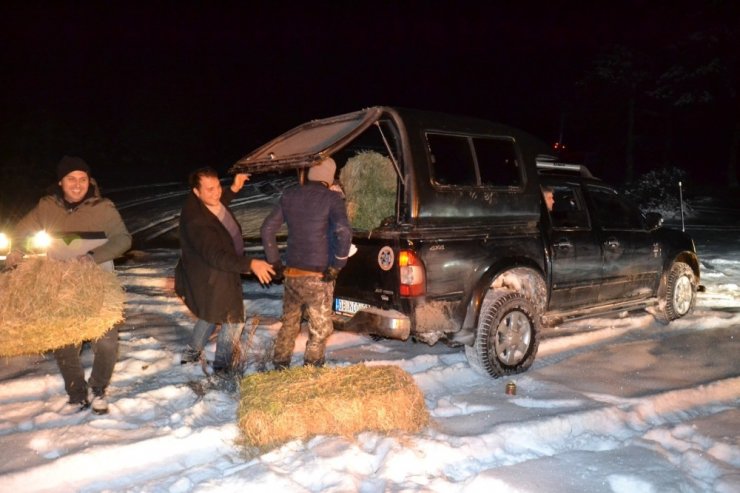 Nallıhan Off Road ve Doğa Ekibi, yaban hayatına sahip çıktı