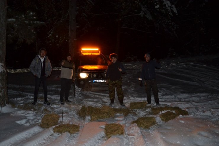 Nallıhan Off Road ve Doğa Ekibi, yaban hayatına sahip çıktı