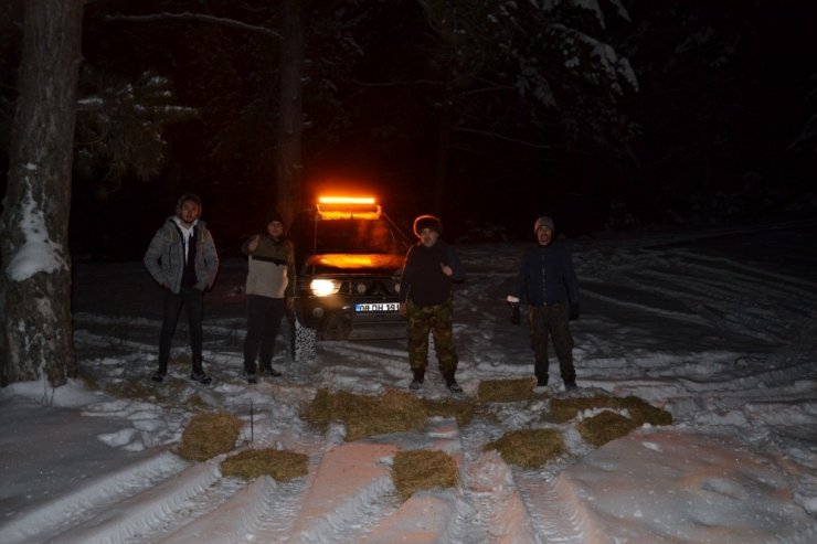 Nallıhan Off Road ve Doğa Ekibi, yaban hayatına sahip çıktı