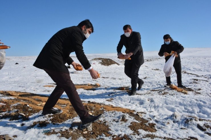 Yaban hayatını unutmadılar, doğaya yem bıraktılar