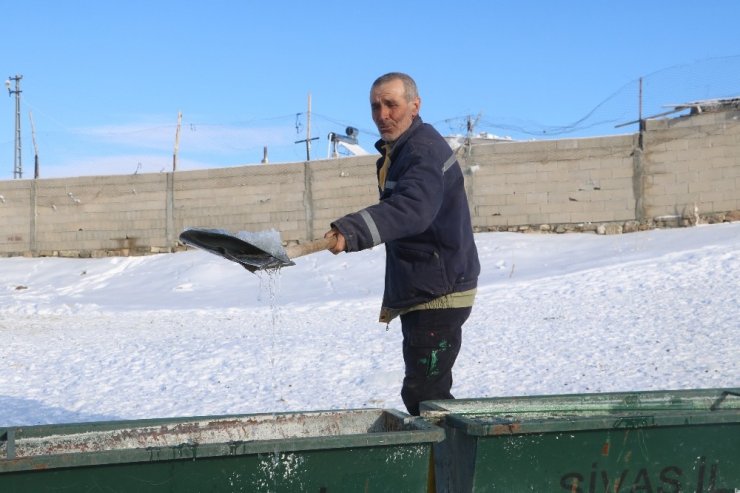 Sivaslı çoban, koyunların su içmesi için donan yalağın buzunu kürekle kırdı