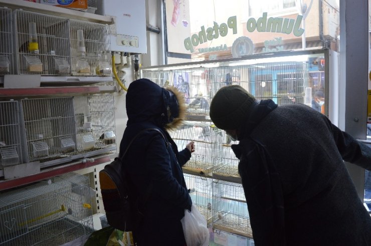 Petshoplarda satacak kuş kalmadı