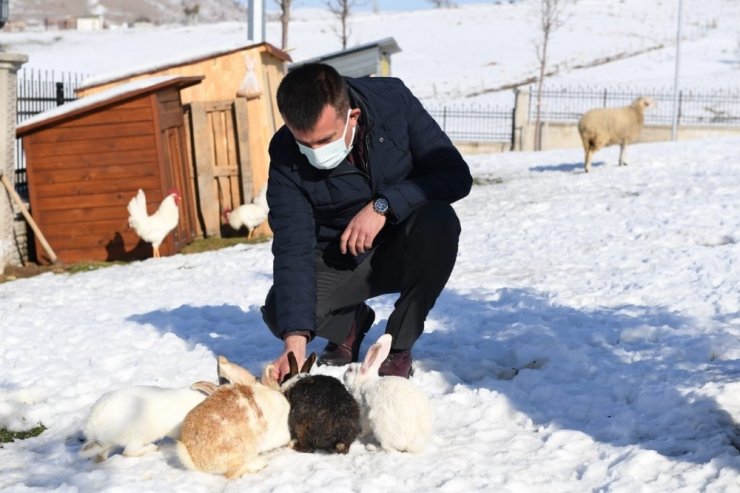 Sokak hayvanlarının sıcak yuvası